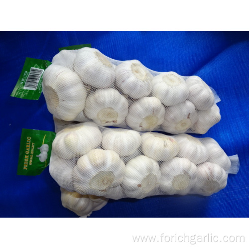 Normal White Garlic New Crop With Best Quality